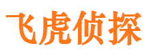 西峰侦探